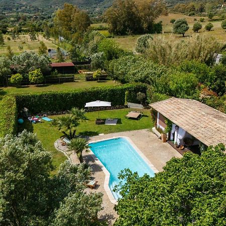 Villa Niloan Olbia Eksteriør bilde