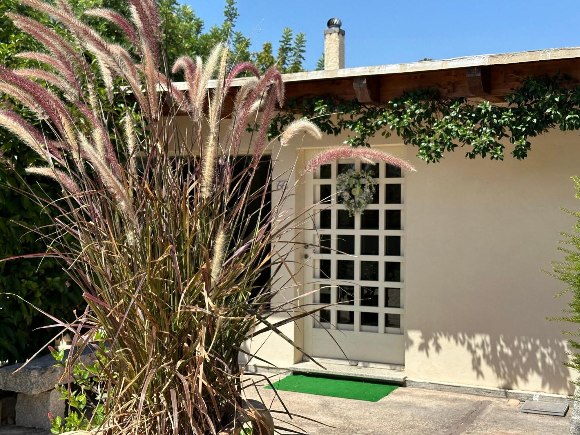 Villa Niloan Olbia Eksteriør bilde