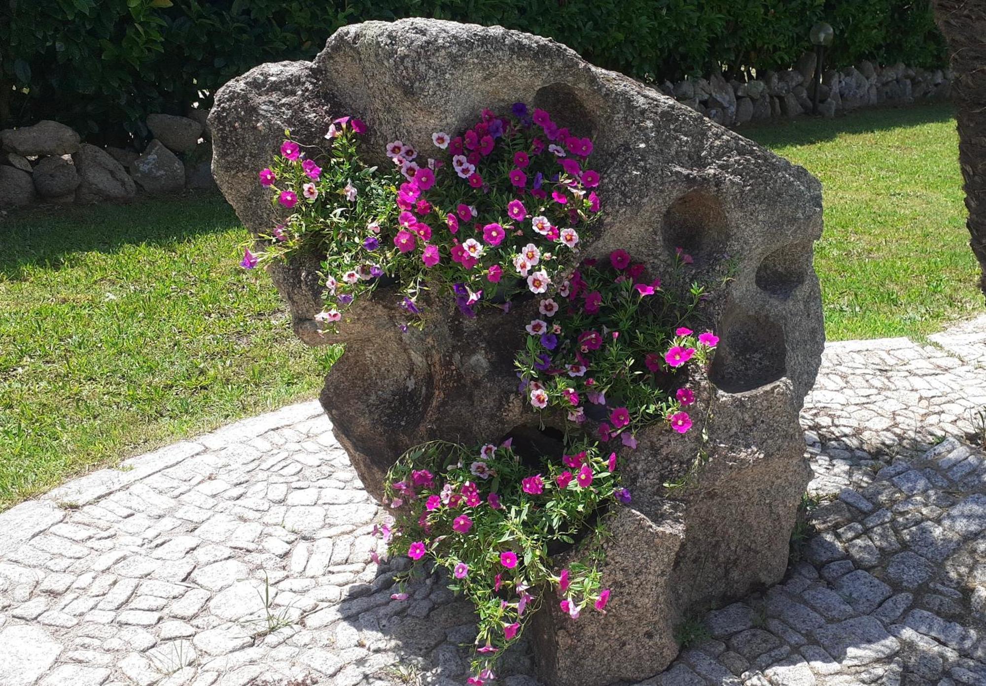 Villa Niloan Olbia Eksteriør bilde